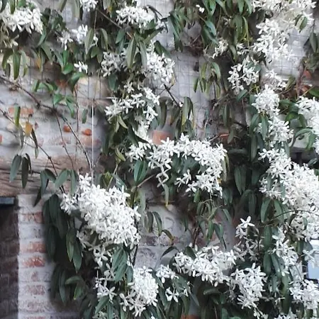 Casa Barnaba-manin Trivignano Udinese