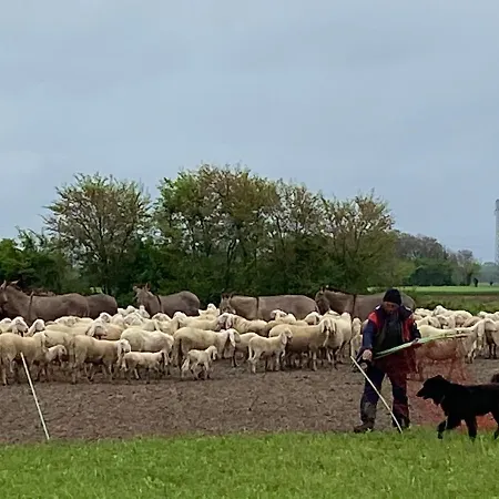 Casa Barnaba-manin Panzió